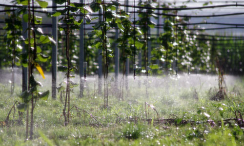 Cap Agri Quercy services irrigation